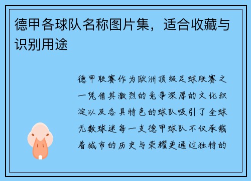 德甲各球队名称图片集，适合收藏与识别用途