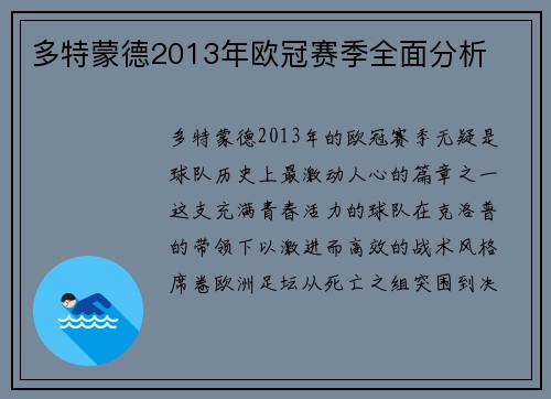 多特蒙德2013年欧冠赛季全面分析